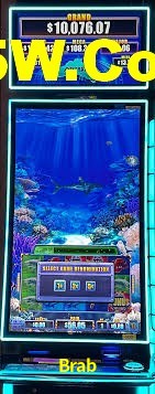 Sports Statistics Brab